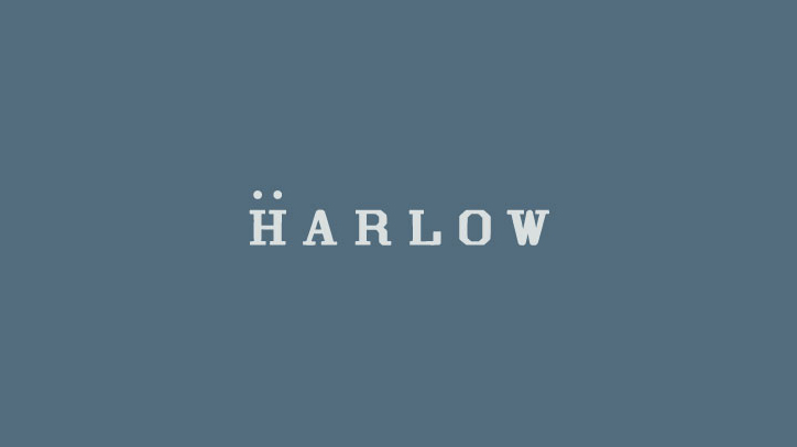 Harlow Brand Identity